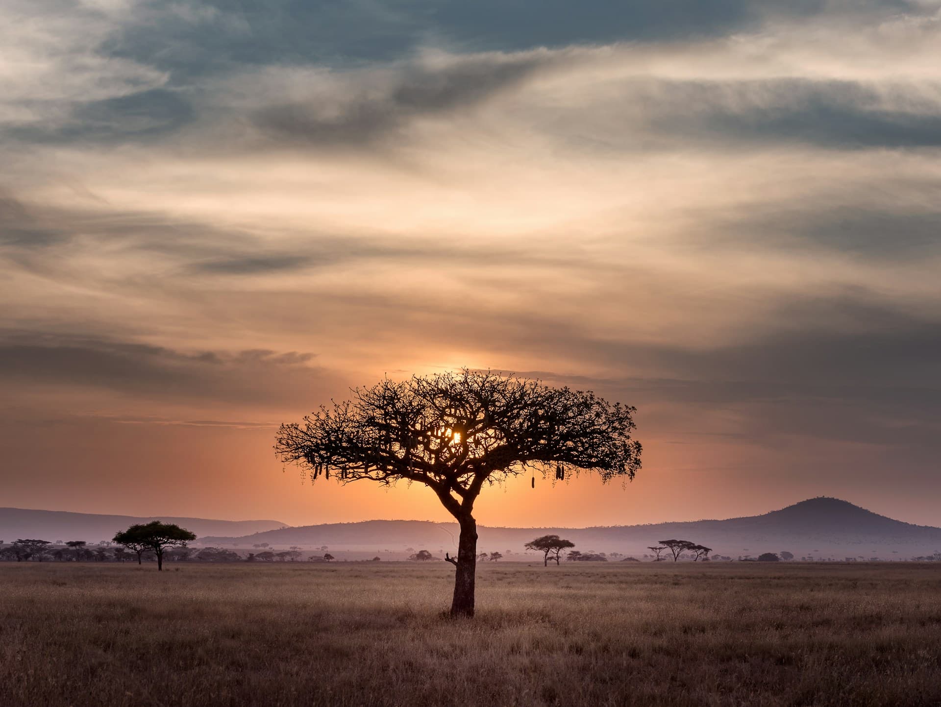 Golden light over a wild landscape — illustrative outdoor photography